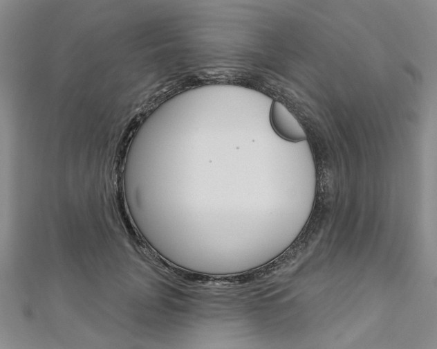 X0000113160751200909040953