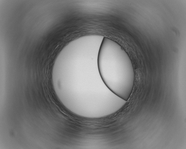 X0000113160752200909040953