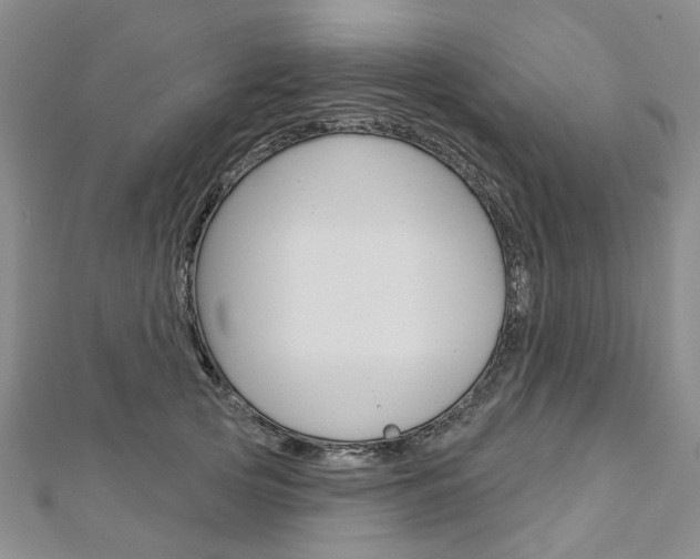 X0000113160753200909040953