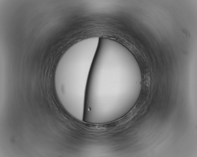 X0000113160754200909040953