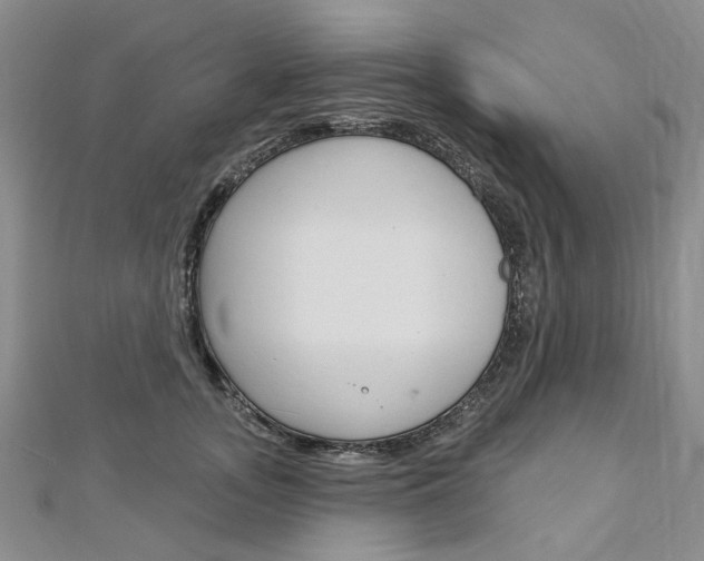 X0000113160755200909040953