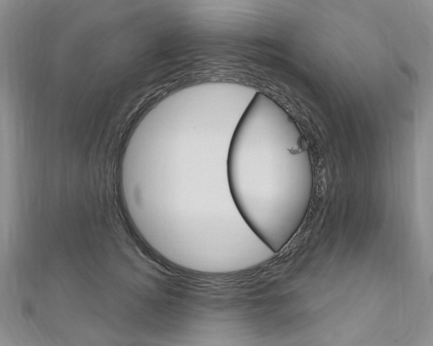 X0000113160756200909040953