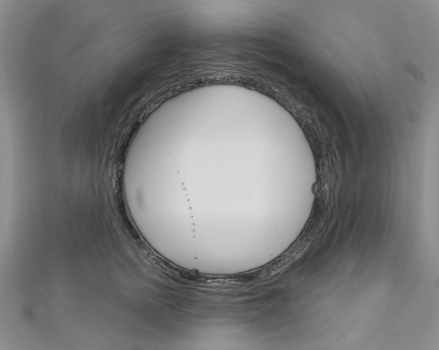 X0000113160758200909040953