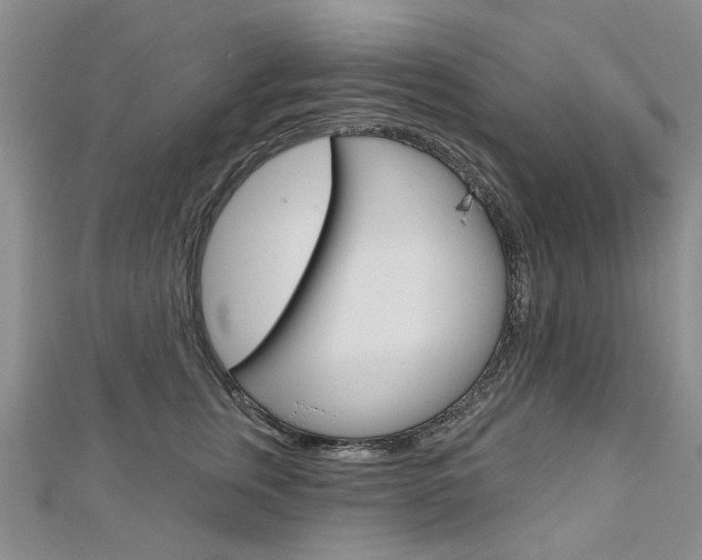 X0000113160759200909040953