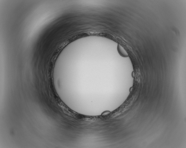 X0000113160763200909040953