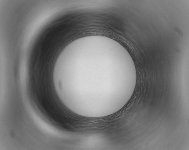 X0000113160764200909040953