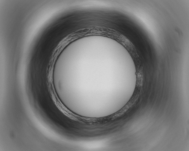 X0000113160765200909040953