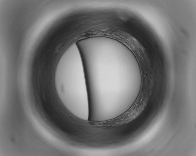 X0000113160767200909040953