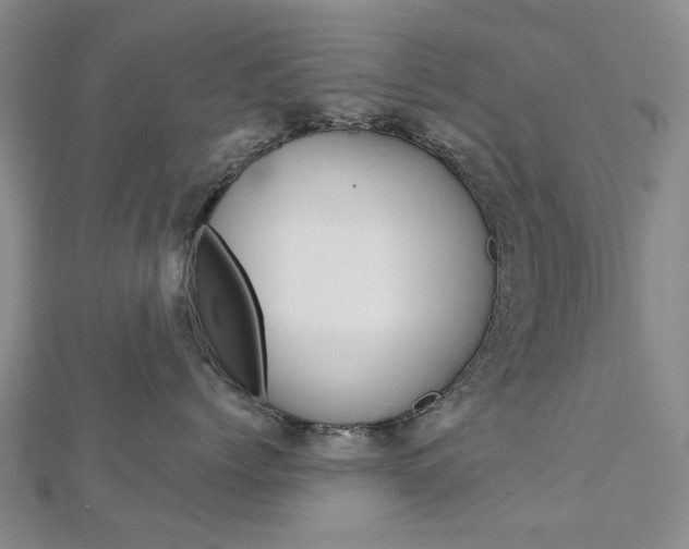 X0000113160768200909040953