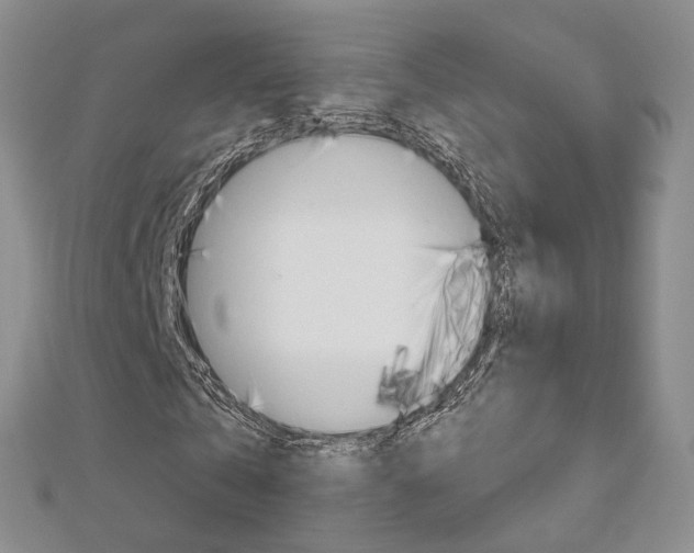 X0000113160769200909040952