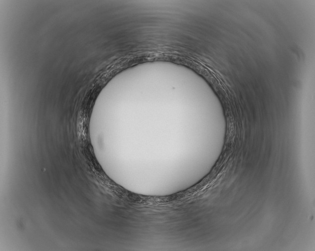 X0000113160770200909040952