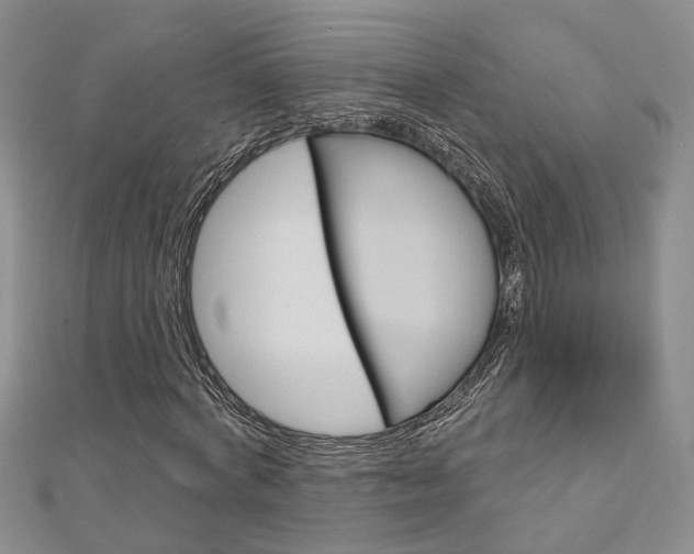X0000113160772200909040952