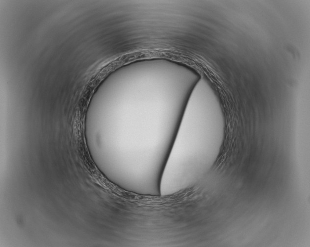 X0000113160773200909040952