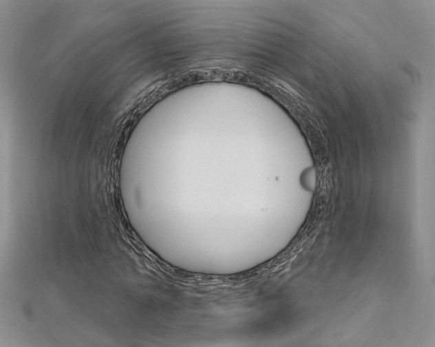 X0000113160774200909040952