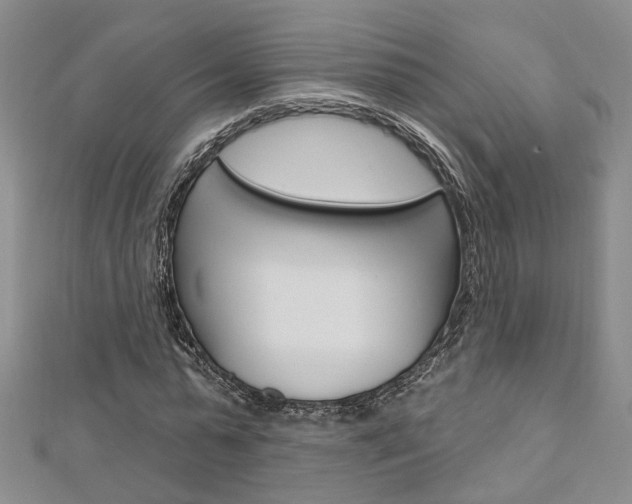 X0000113160775200909040952