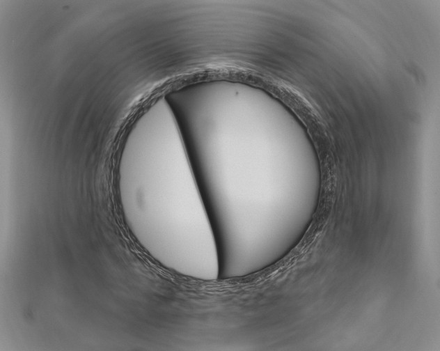 X0000113160776200909040952