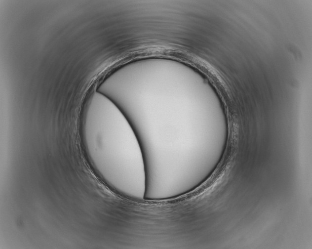 X0000113160778200909040952