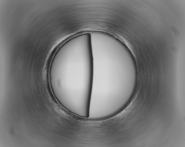 X0000113160779200909040952