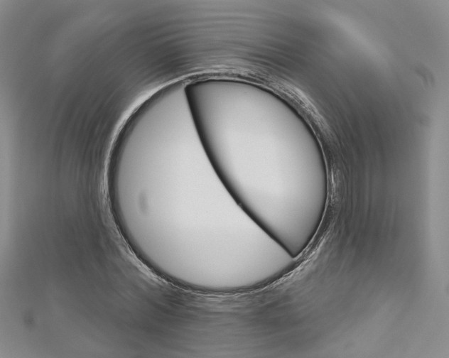 X0000113160780200909040952