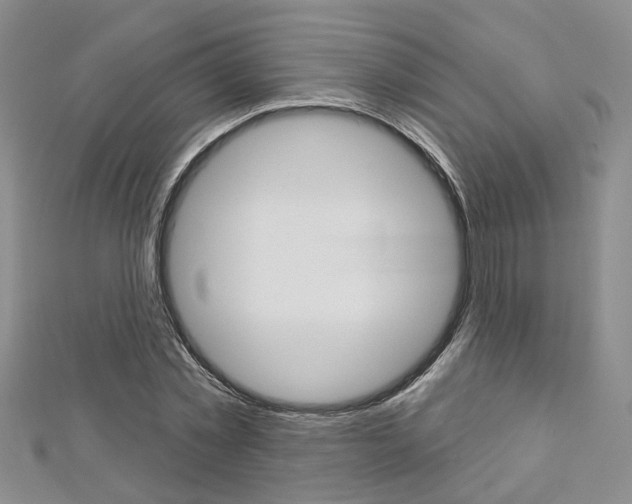 X0000113160781200909040952