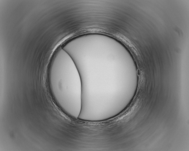 X0000113160782200909040952
