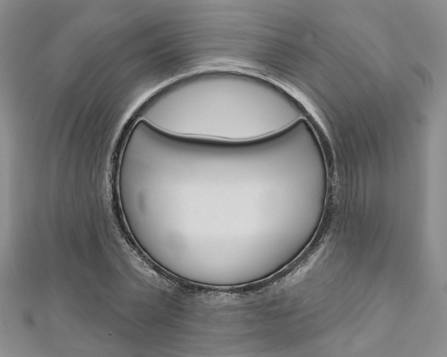 X0000113160783200909040952