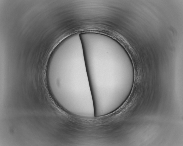 X0000113160786200909040952