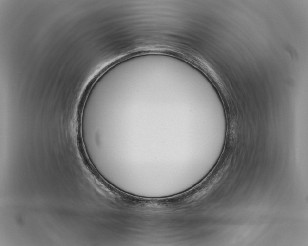 X0000113160787200909040952