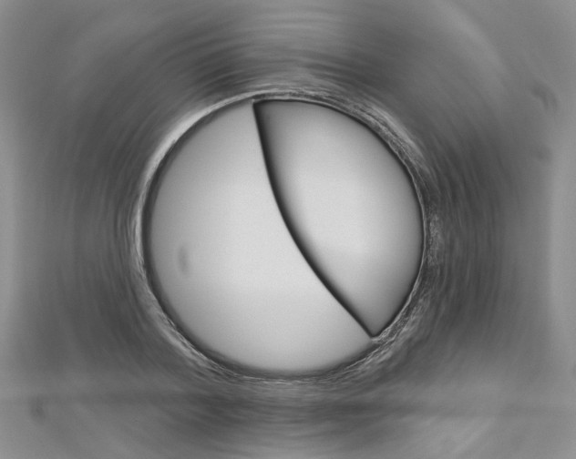 X0000113160788200909040952