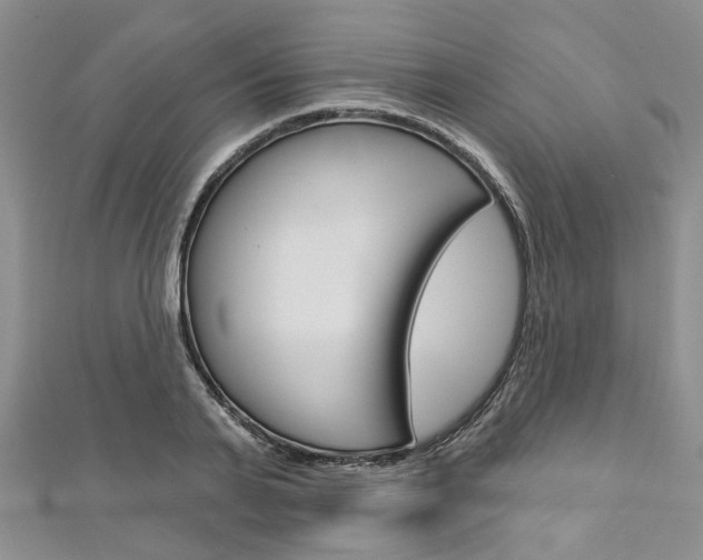 X0000113160791200909040952