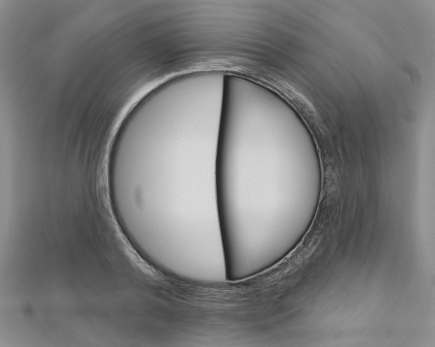 X0000113160792200909040952