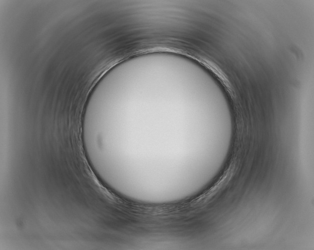 X0000113160793200909040952
