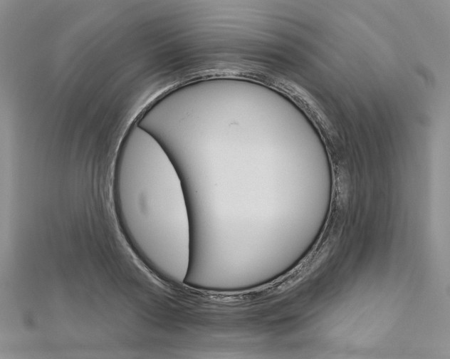 X0000113160794200909040952