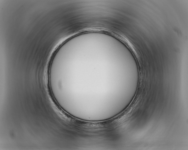 X0000113160795200909040952