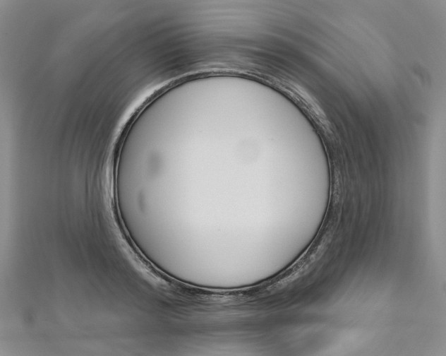 X0000113160796200909040952