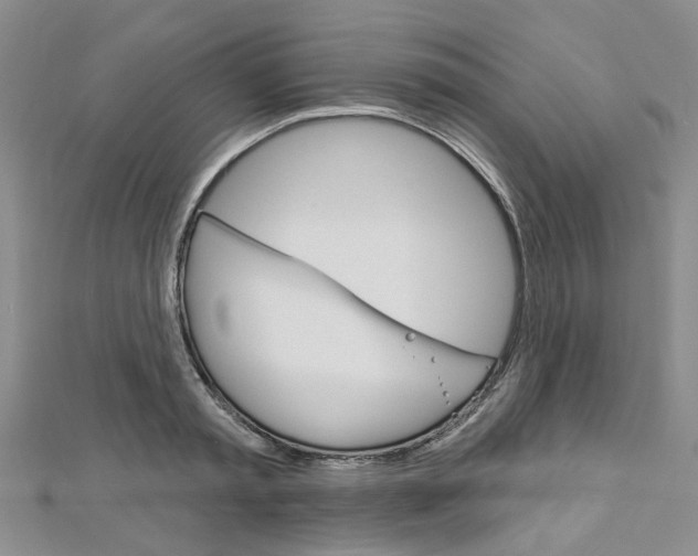 X0000113160797200909040952