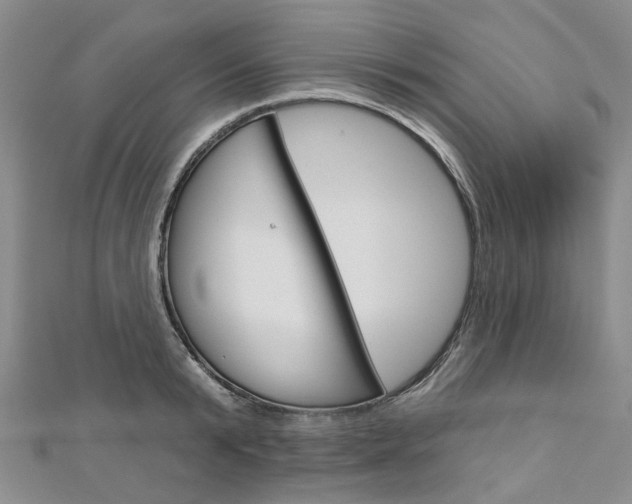 X0000113160799200909040952