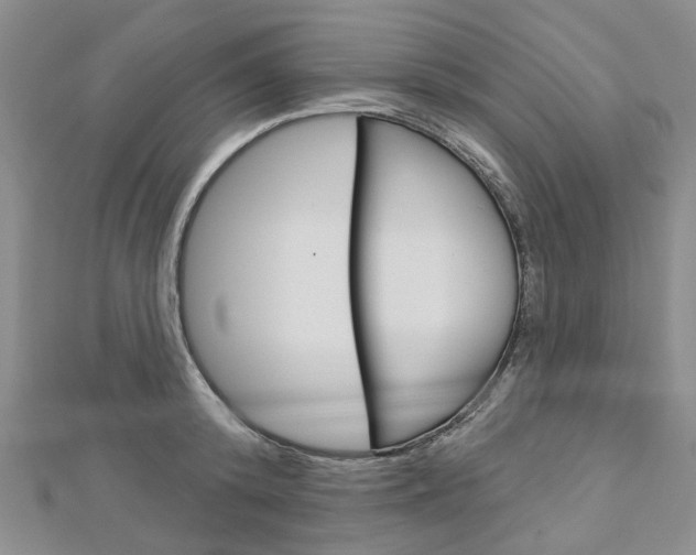 X0000113160800200909040952