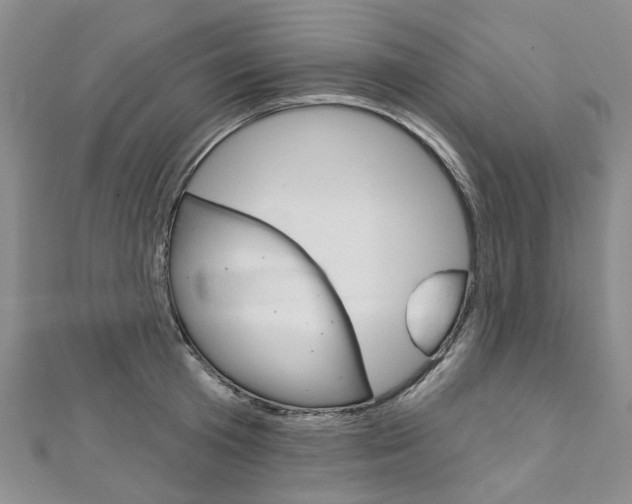 X0000113160801200909040952