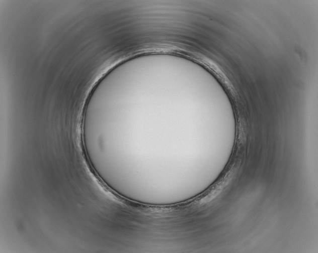 X0000113160802200909040952