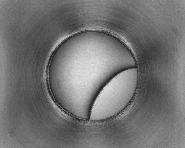 X0000113160803200909040952