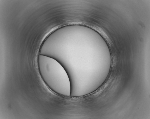 X0000113160806200909040952