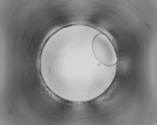 X0000113160807200909040951