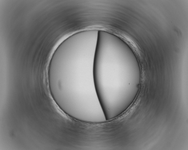 X0000113160808200909040951
