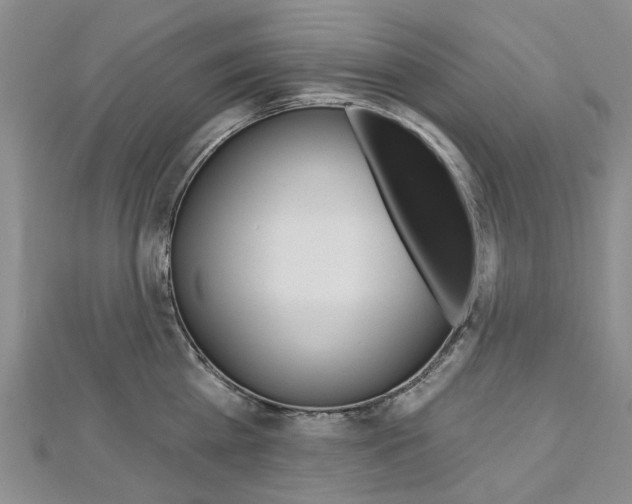 X0000113160809200909040951
