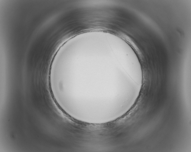 X0000113160810200909040951