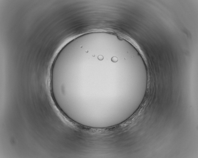 X0000113160811200909040951