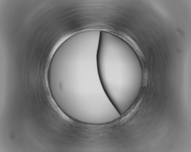X0000113160812200909040951