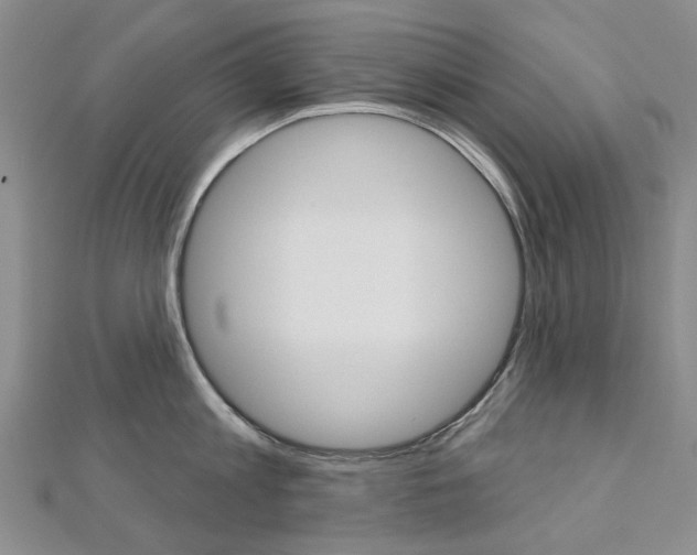 X0000113160813200909040951