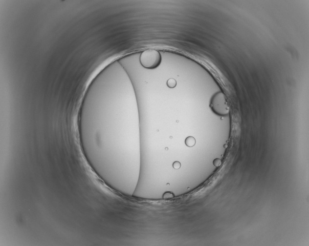 X0000113160814200909040951